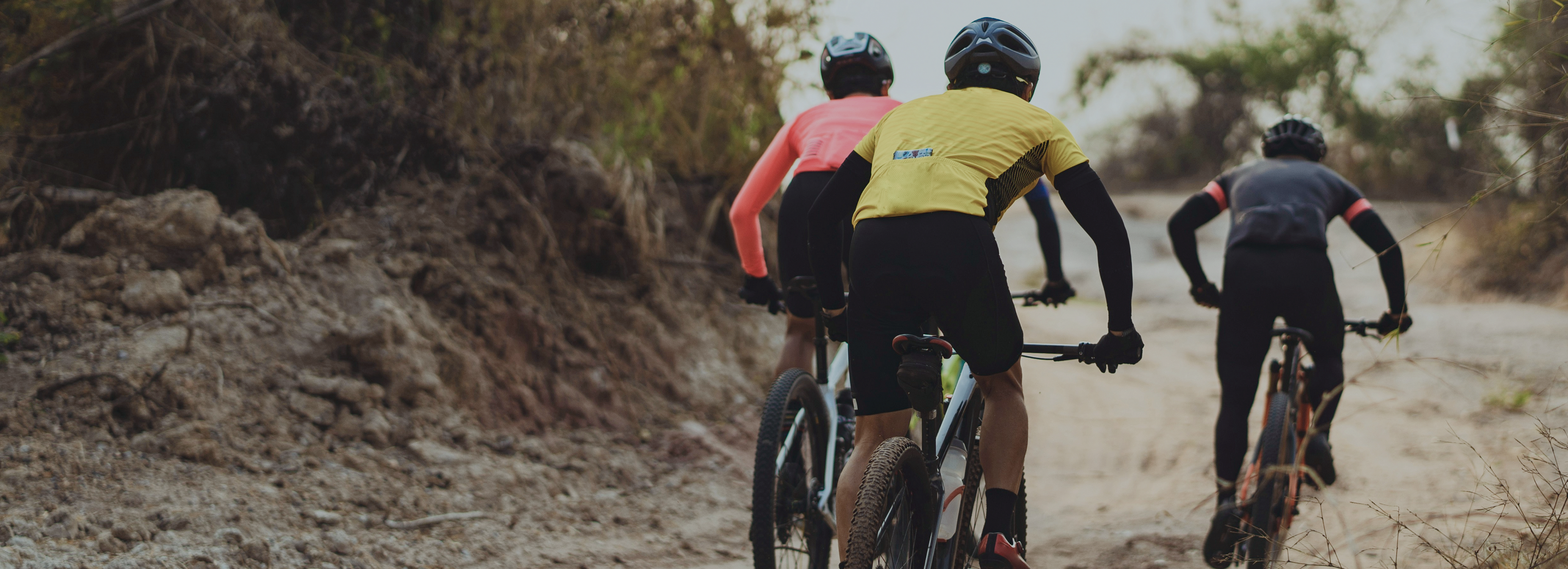 Mountain Bike & Gravel Bike